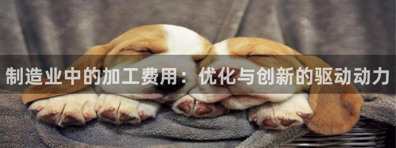 星欧娱乐代理