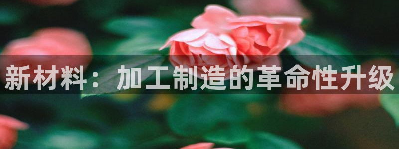 星欧娱乐注册资金多少