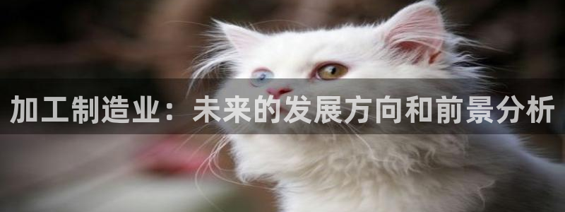 娱乐星天地欧豪