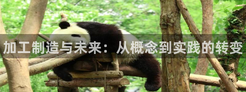 星欧娱乐公司