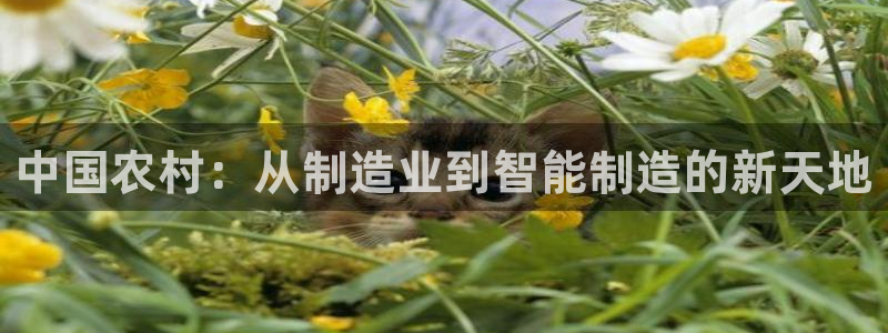 星欧娱乐娱乐是正规的吗
