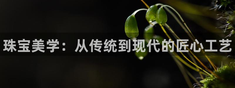 星欧娱乐注册登录入口