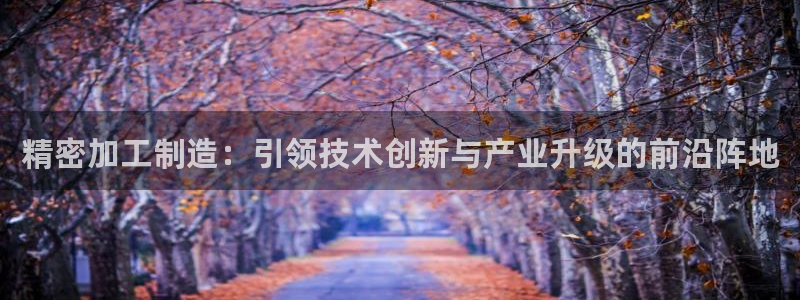 星欧娱乐老版本下载